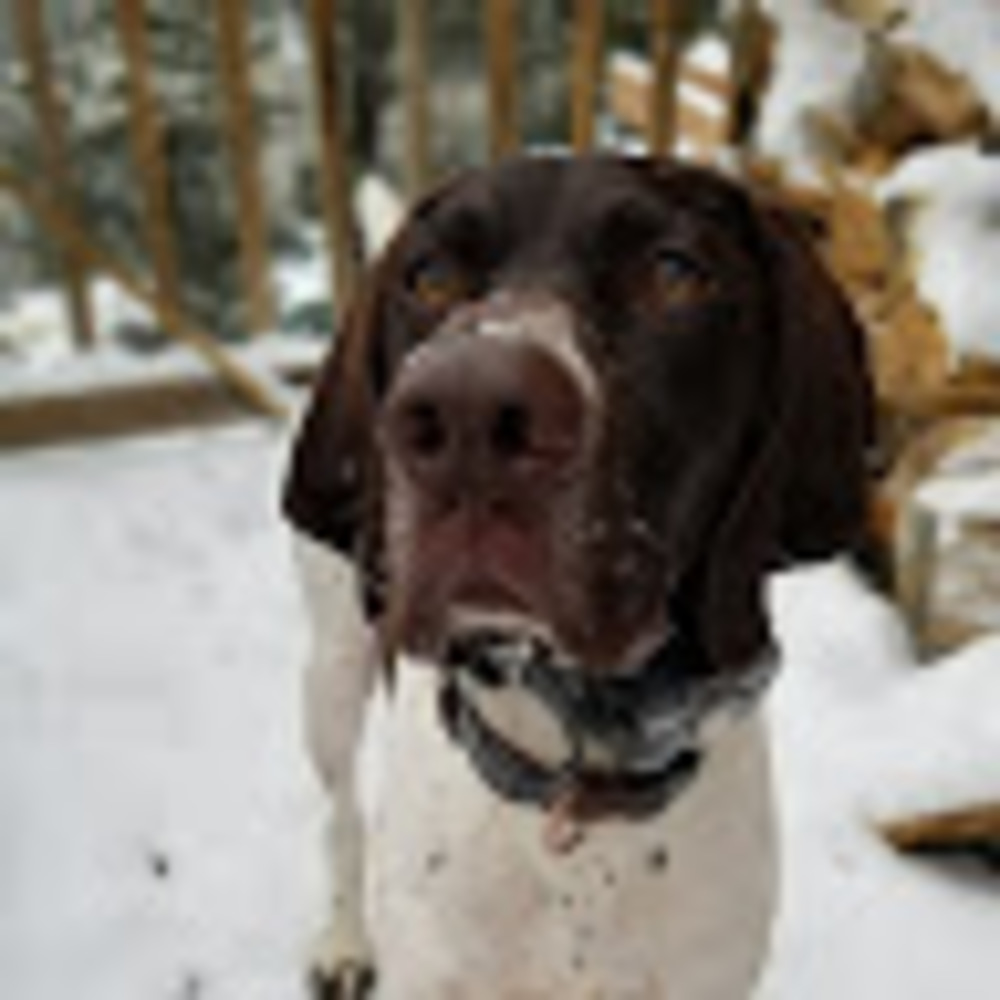 Meet your Posher, Jessi